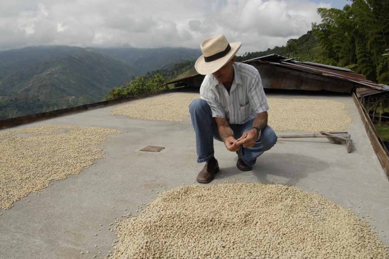 Caficultores sin subsidio
