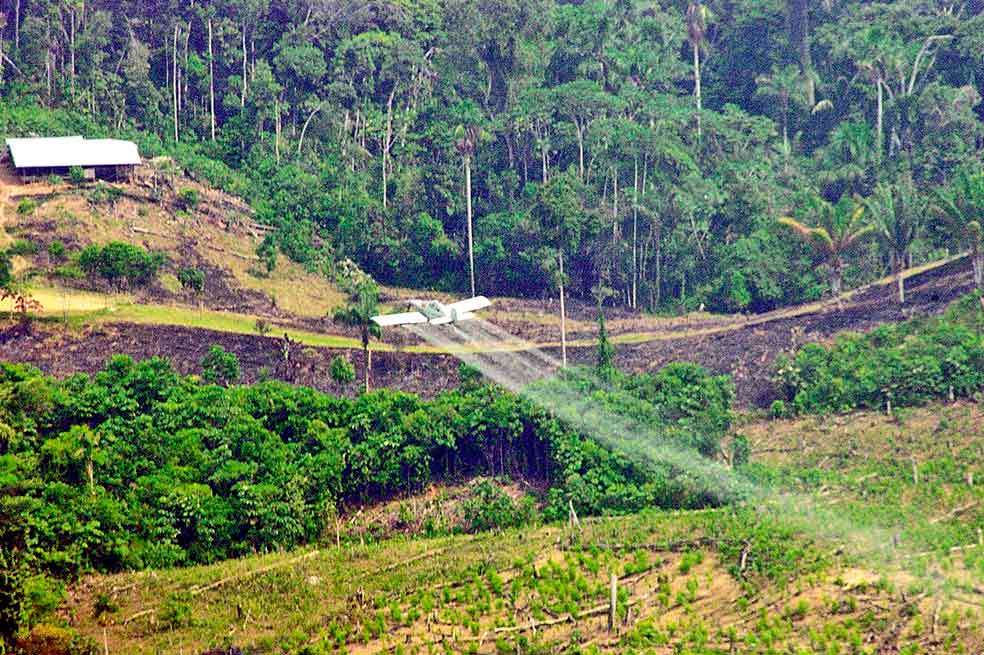 Las fumigaciones con glifosato fueron operaciones realizadas en el marco del Plan Colombia para luchar contra el narcotráfico.