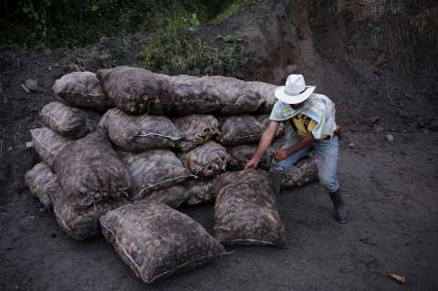 Gobierno reactiva jornadas de negocios de “agricultura por contrato”