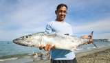 La pesca ancestral en el Caribe colombiano que le apuesta al cuidado del mar