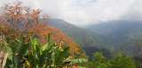 Turismo científico, clave para la conservación en la Sierra Nevada de Santa Marta