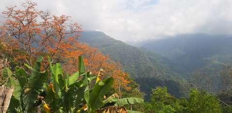 Hallaron muerto a neerlandés en una finca de Minca, en Santa Marta