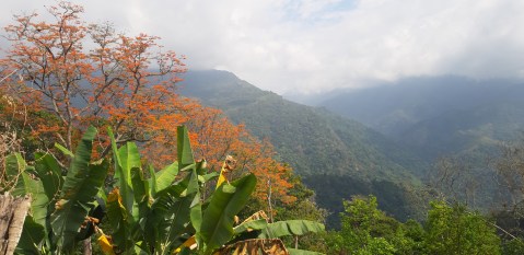 Turismo científico, clave para la conservación en la Sierra Nevada de Santa Marta