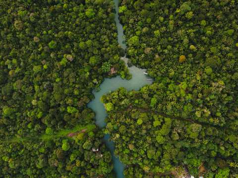 La propuesta para que el Nobel de Paz sea para los protectores de la biodiversidad