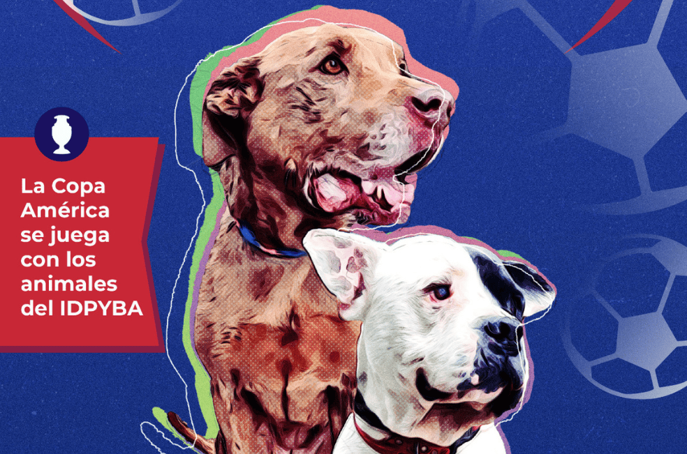 La Copa de la Adopción es una iniciativa por lo perros sin hogar