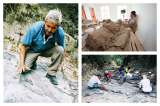 El reptil marino prehistórico del Tolima