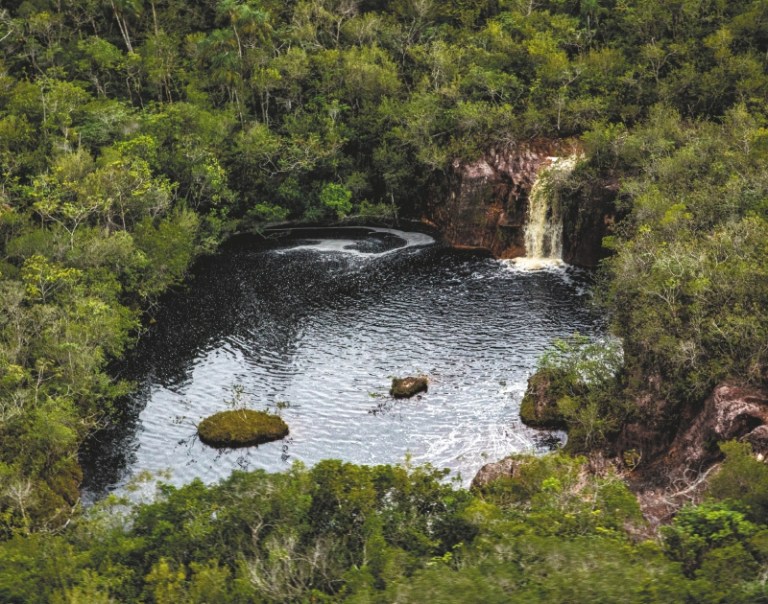 Conservar los parques de la Amazonia con ayuda de los campesinos: una ruta por explorar