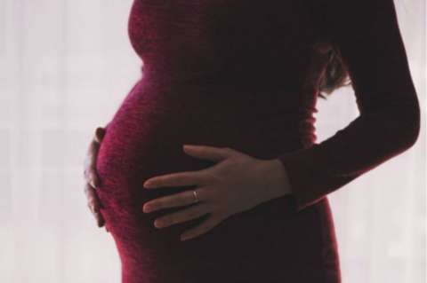 El embarazo cambia el cerebro de la madre