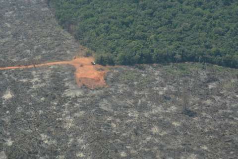 Leonardo DiCaprio pide a Colombia aprobar proyecto de “ganadería libre de deforestación”
