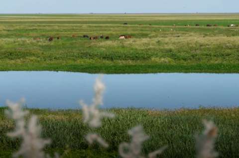 El segundo río más grande de Suramérica está en peligro