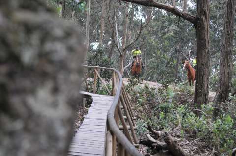 Senderos ecológicos cerrarán temporalmente por riesgo de incendios forestales