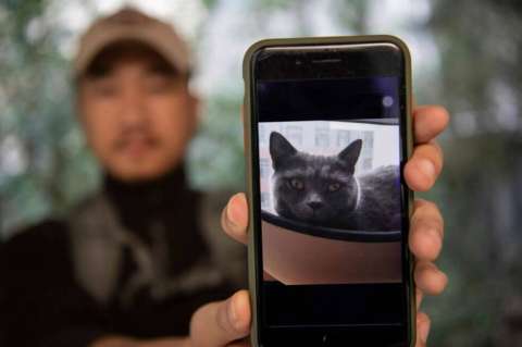 Sun Jinrong, el detective chino que busca mascotas desaparecidas