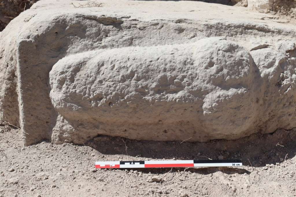 La representación fálica tiene 5 centímetros de longitud, 15cm de tronco y 25cm en la zona de los testículos.