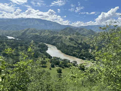 Solo queda un 9 % de la cobertura original del bosque seco tropical en Colombia