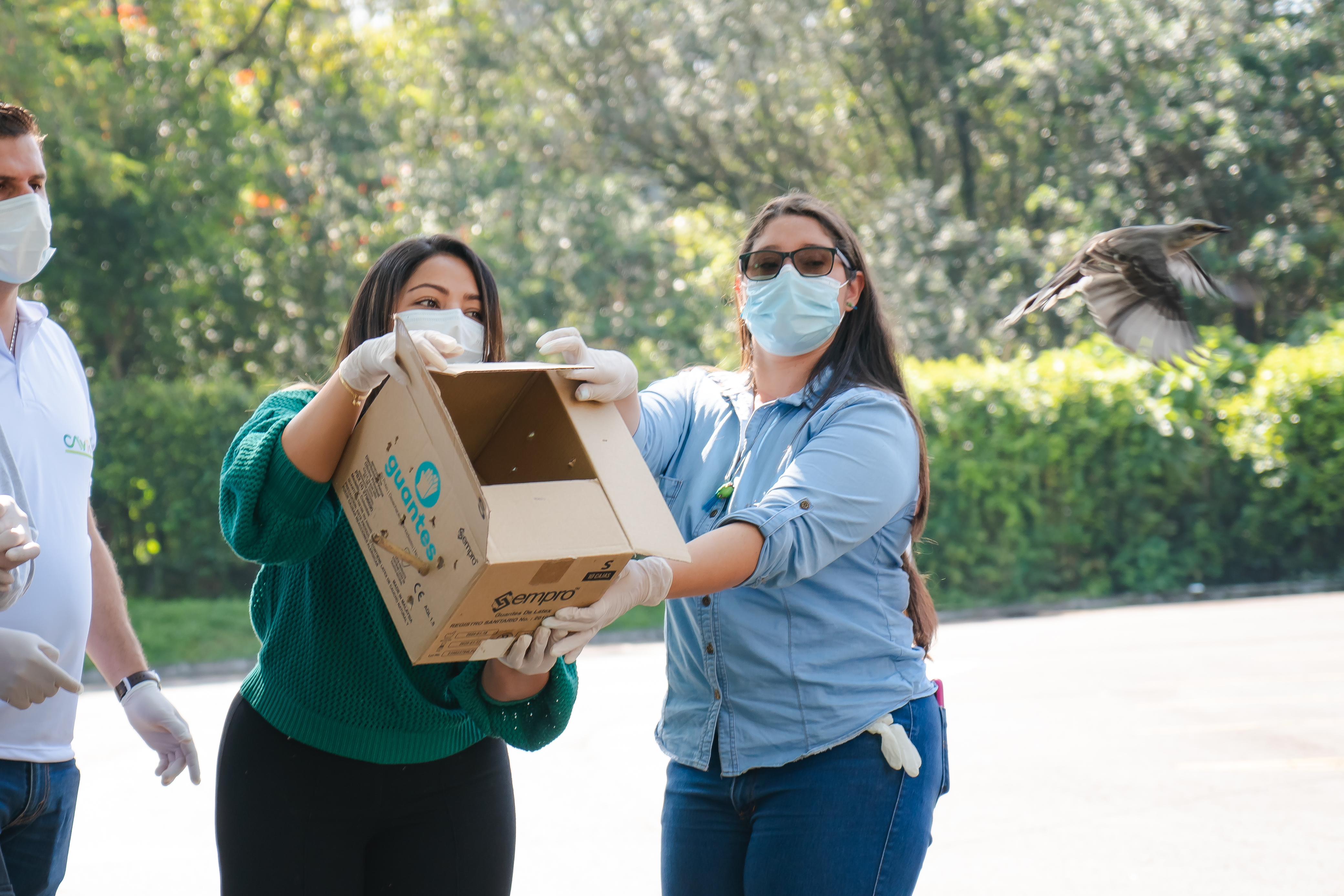 Durante noviembre, la universidad llevará a cabo un inventario de fauna y flora para identificar las especies presentes en su Campus Vivo.