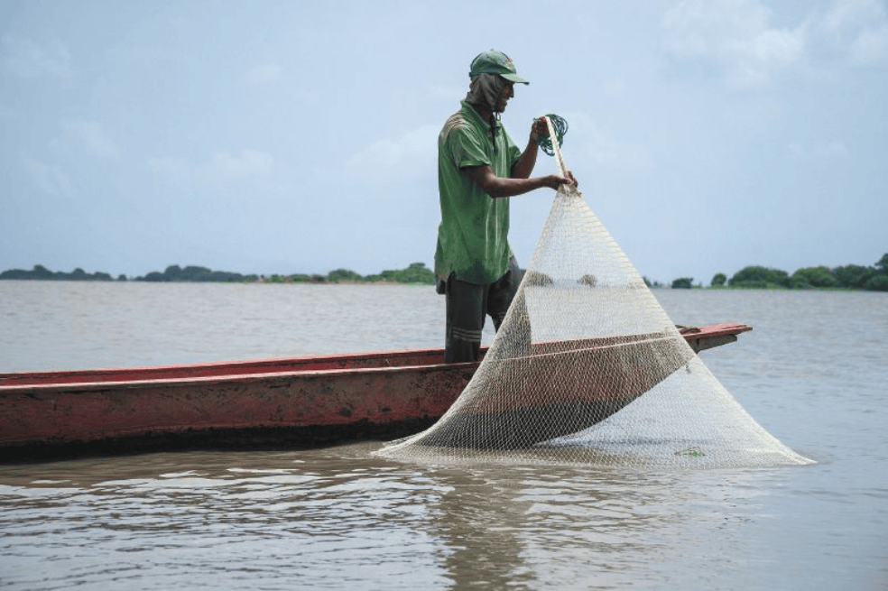 Sianci Hernández, pescador en la ciénaga de la Zapatosa.