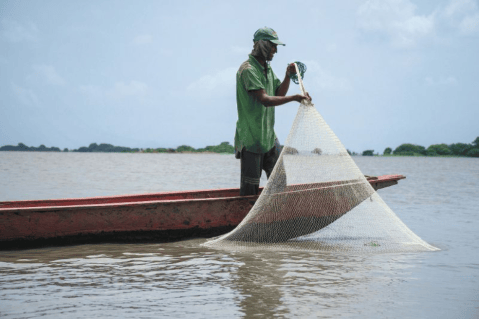 Trabajando por una pesca sostenible en la cuenca Magdalena-Cauca