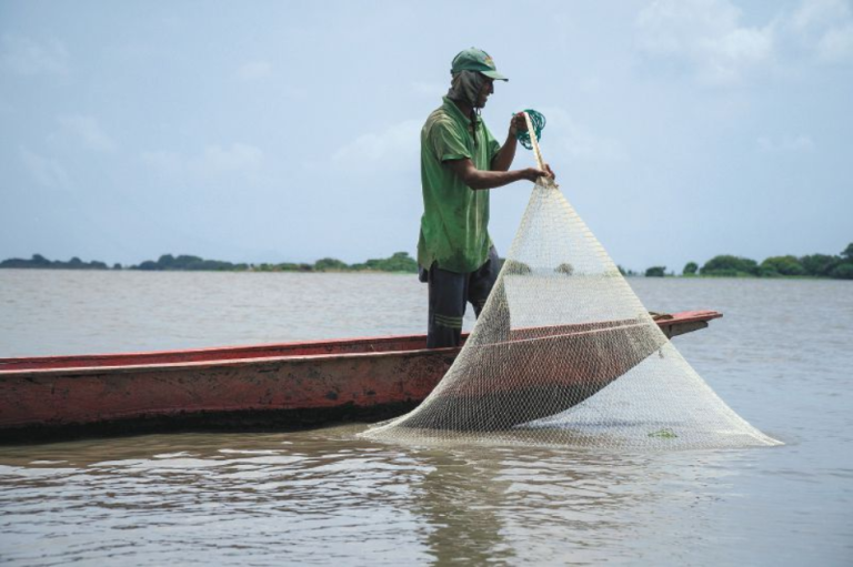 Trabajando por una pesca sostenible en la cuenca Magdalena-Cauca