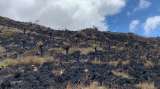 En fotos: así quedó el páramo de Aquitania, Boyacá, tras el incendio