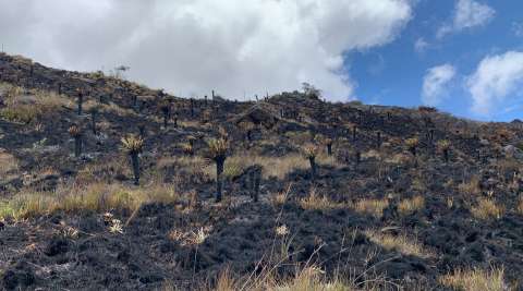En fotos: así quedó el páramo de Aquitania, Boyacá, tras el incendio