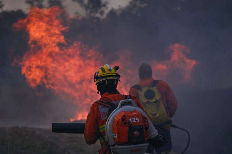 Las autoridades ambientales de Brasil tienen estimado que el pico de incendios en esta zona se registre durante agosto y septiembre.