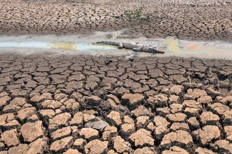 ¿Por qué es tan importante el Pantanal, el humedal tropical más grande del mundo que se quema?