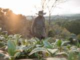La política agraria recibiría 18 billones de pesos para reducir la desigualdad en el campo