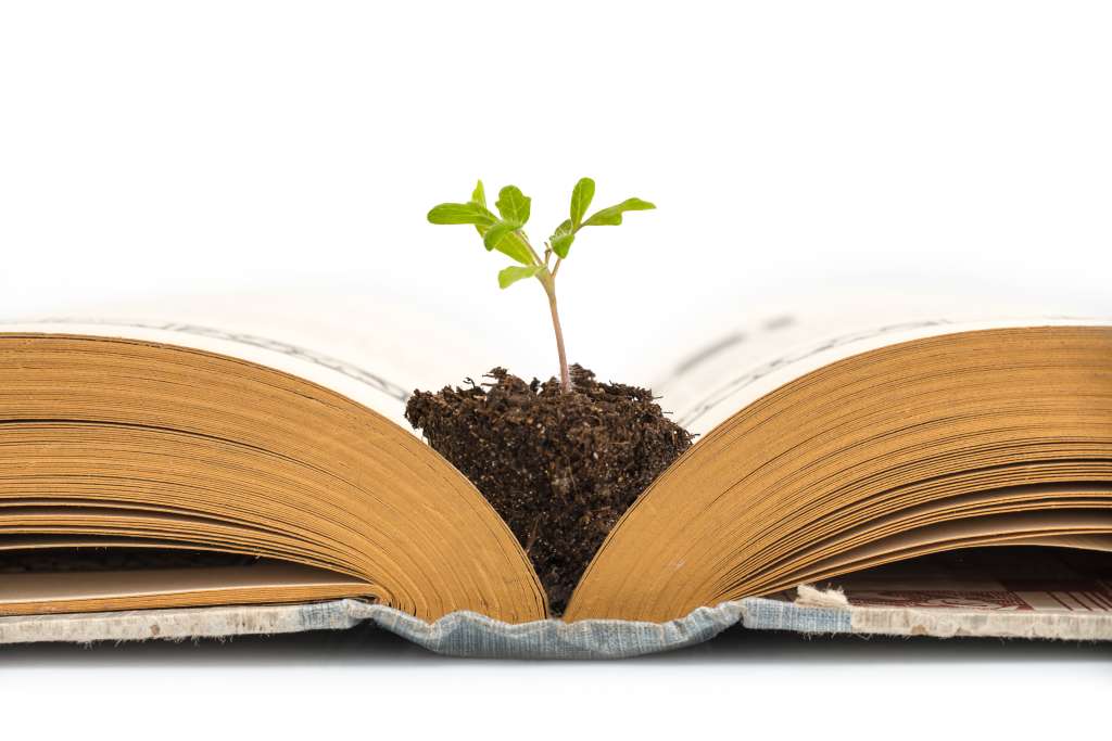Foto que muestra una planta pequeña en un montículo de tierra que se encuentra en la mitad de un libro abierto.