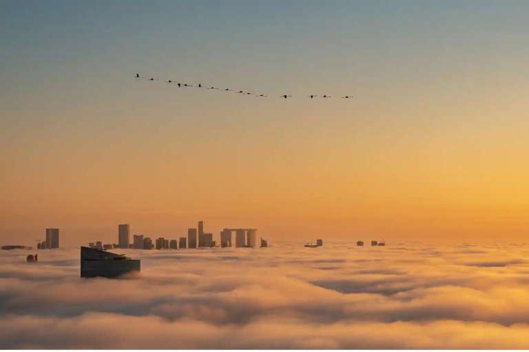 Categoría Aves Urbanas: Ammar Alsayed Ahmed capturó a un grupo de flamencos sobrevolando en Abu Dhabi, Emiratos Árabes.