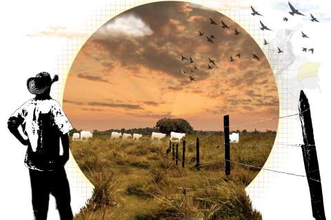 El expediente inédito para restituir una tierra de 50 mil hectáreas en Vichada