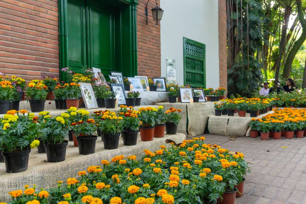 ¿Cómo queremos ser recordados?
El ingreso al Jardín Botánico de Medellín es gratuito para todos sus visitantes.