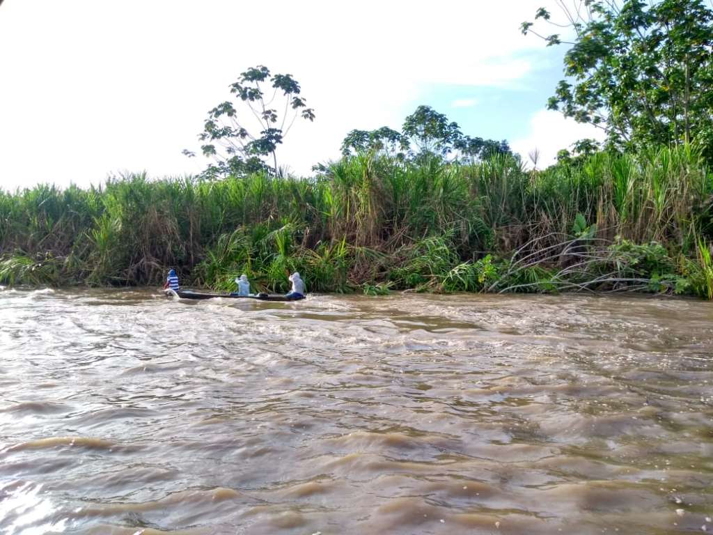 El río Magdalena rebosado traga a su paso la vegetación de la ribera.