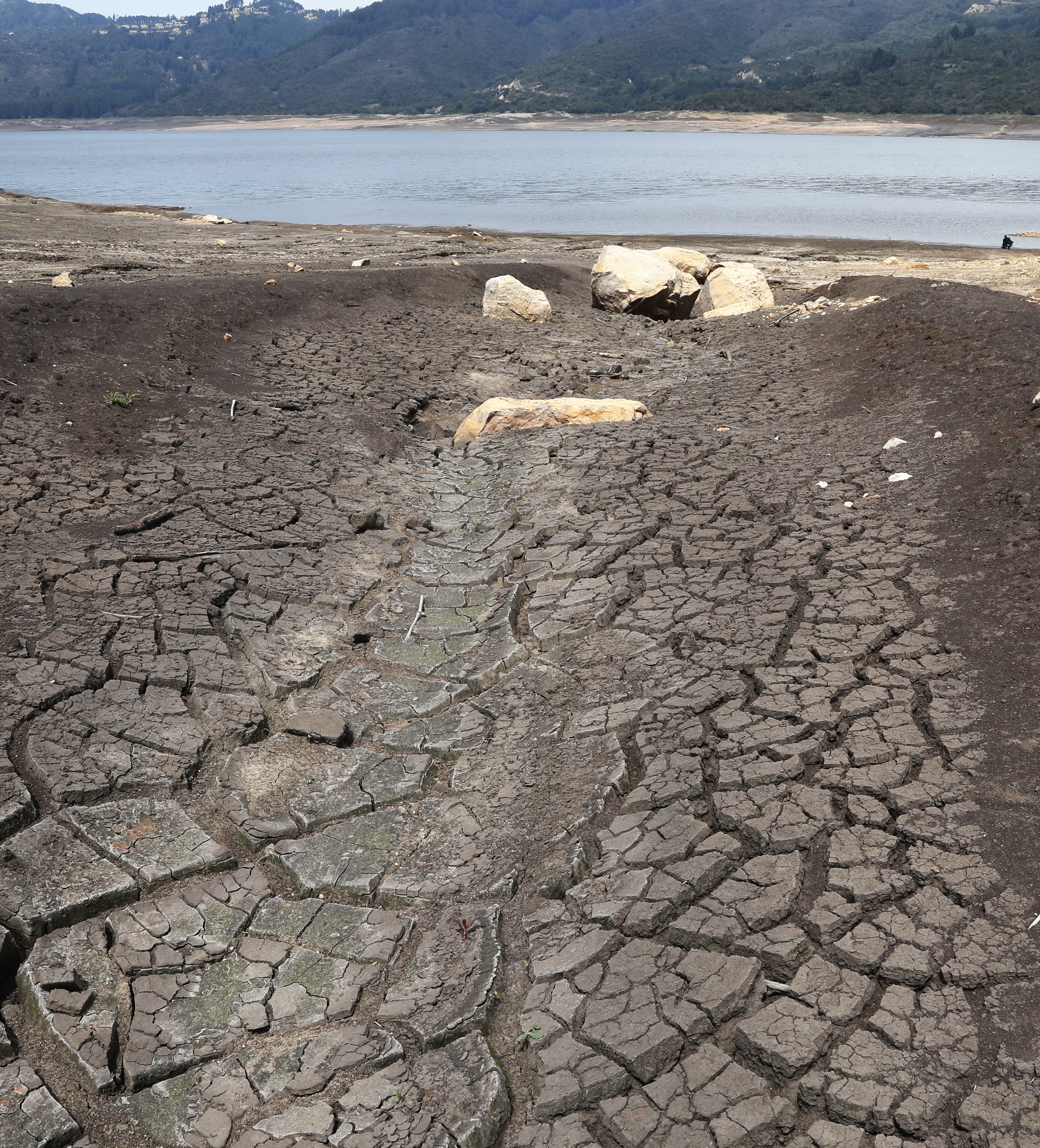 ACOMPAÑA CRRÓNICA DE SEQUÍA CAL400. LA CALERA(COLOMBIA), 11/04/2024.- Fotografía de las extensas playas formadas por la falta de agua en el embalse San Rafael el 9 de marzo del 2024, ubicado en el municipio de La Calera (Colombia). Bogotá volvió a ser la de siempre con su característica lluvia que no se había dejado ver en los últimos meses por el fenómeno de El Niño, causante de la disminución de las fuentes de agua que surten a la capital colombiana que hace un mes obligó a la Alcaldía a imponer racionamiento que, por el momento, no tiene perspectivas de acabar. EFE/ Carlos Ortega