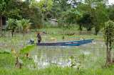 Defensoría alerta situación en el Chocó por presencia del Clan del Golfo y el Eln