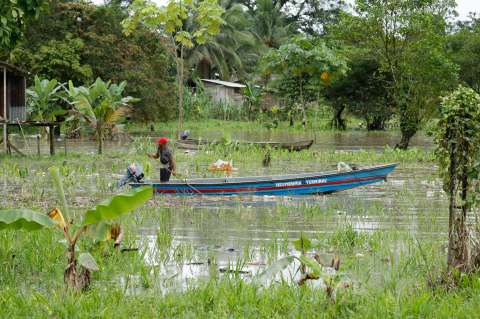 Defensoría alerta situación en el Chocó por presencia del Clan del Golfo y el Eln