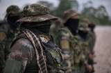 Comandos de Frontera: la disidencia bombardeada por EE. UU. y Ecuador en límite con Colombia