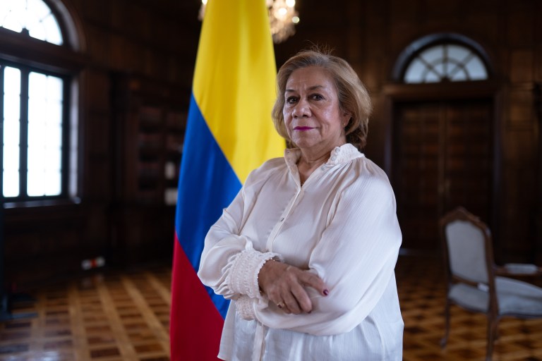 Canciller habla de la logística de la posesión: “No se hizo con la suficiente antelación”