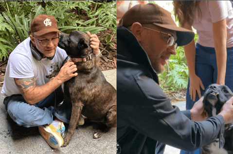 Un perrito sin hogar de México "le robó el corazón" a Tom Hardy
