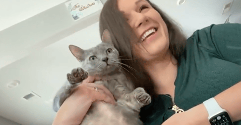 Gracias a un microchip: una gata y su dueña se reencuentran, tras 5 años separadas