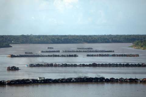 La fiebre del oro amenaza a la Amazonía: la Interpol señala lecciones y retos