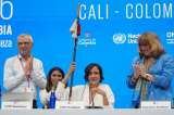 El país político da un balance positivo de la COP16 que se realizó en Cali