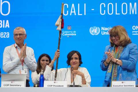 Dos lecciones desde Cali I 