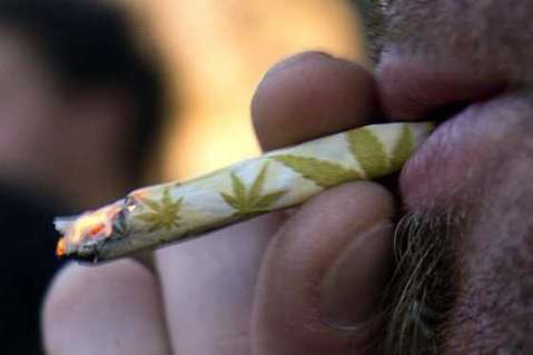 Día histórico: Senado abre debate a legalización de marihuana con fines medicinales