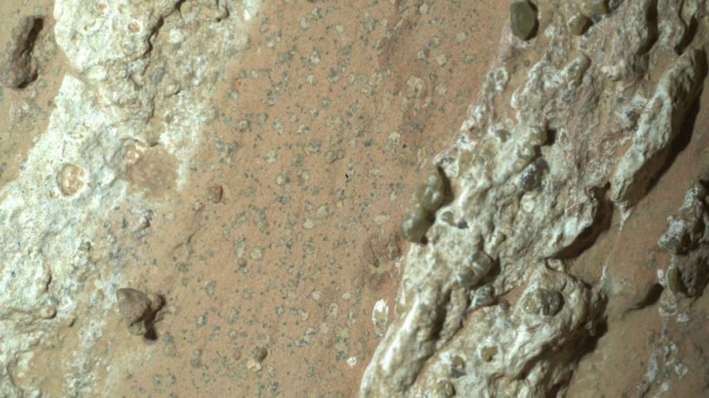 El rover Perseverance de la NASA descubrió unas “manchas de leopardo” en una roca rojiza llamada Cheyava Falls, ubicada en el cráter Jezero de Marte en julio de 2024. Científicos creen que las manchas podrían indicar que, hace miles de millones de años, las reacciones químicas que se dieron en esta roca podrían haber sustentado vida microbiana. Pero, a la vez, también contemplan otras posibles explicaciones. /NASA
