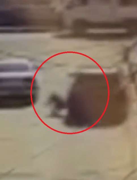 El conductor arrolló a la mujer luego de que ella le reclamara por un choque previo a su vehículo.