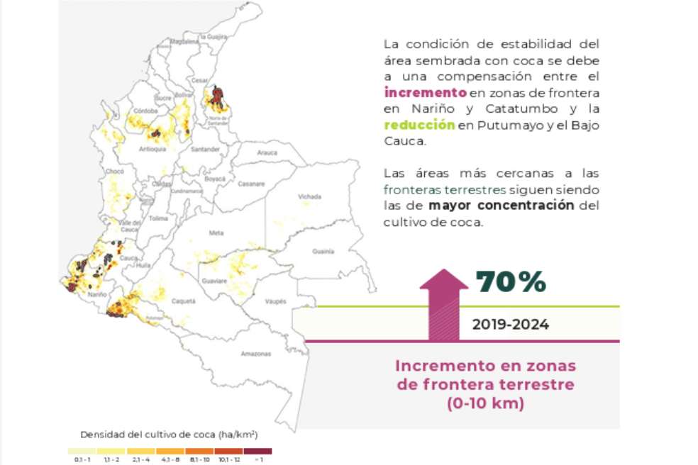 El informe que Petro cuestionó confirma nuevo aumento de los cultivos de coca