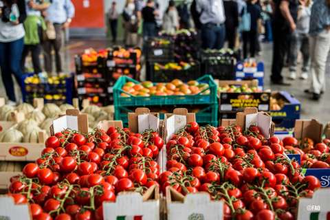 Transformando los sistemas alimentarios urbanos para erradicar el hambre en América Latina