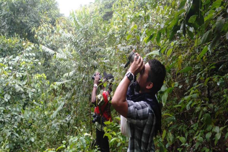 La biodiversidad colombiana, una oportunidad para la reincorporación