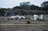Rescatan los cuerpos de 11 militares muertos en accidente aéreo