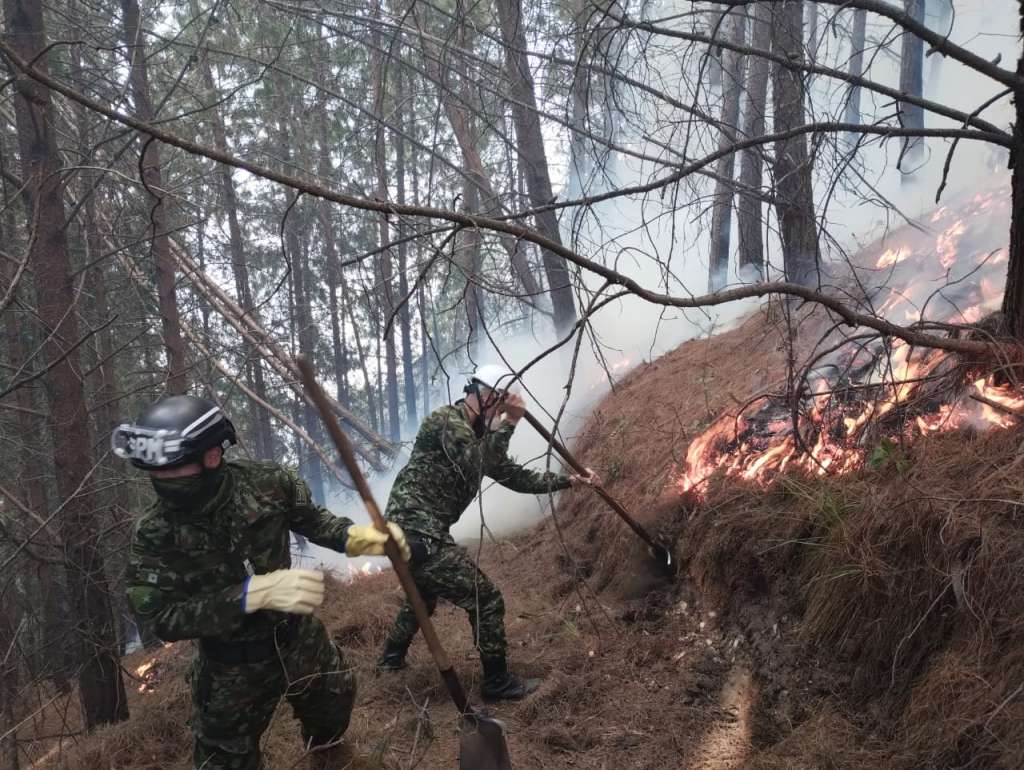 Cuatro hectáreas de los cerros han sido afectadas por las llamas. 1.000 estudiantes han evacuado y 361 personas, entre autoridades locales y nacionales, unen esfuerzos para controlar el incendio.